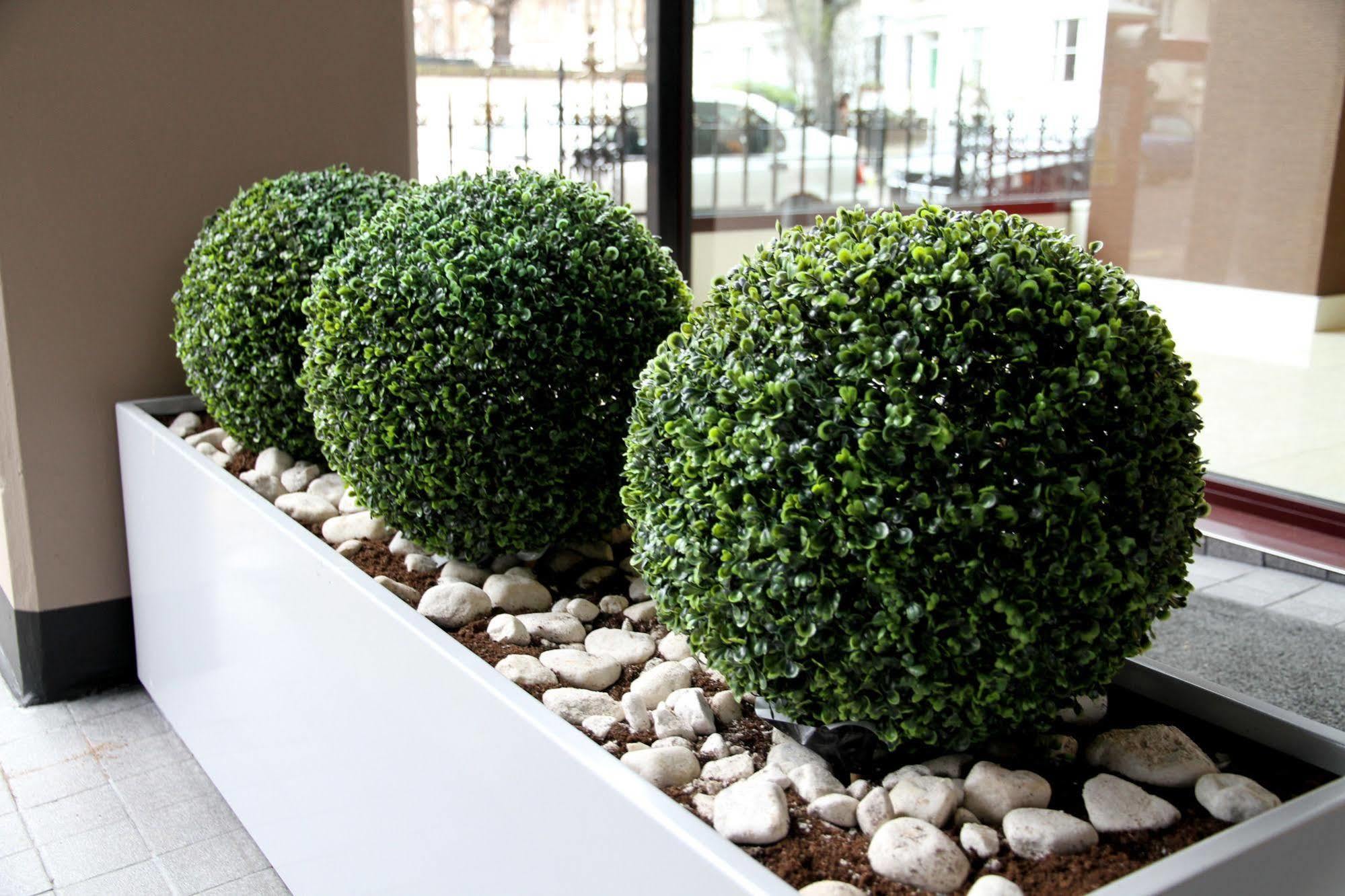 Hotel Lily Londra Exterior foto